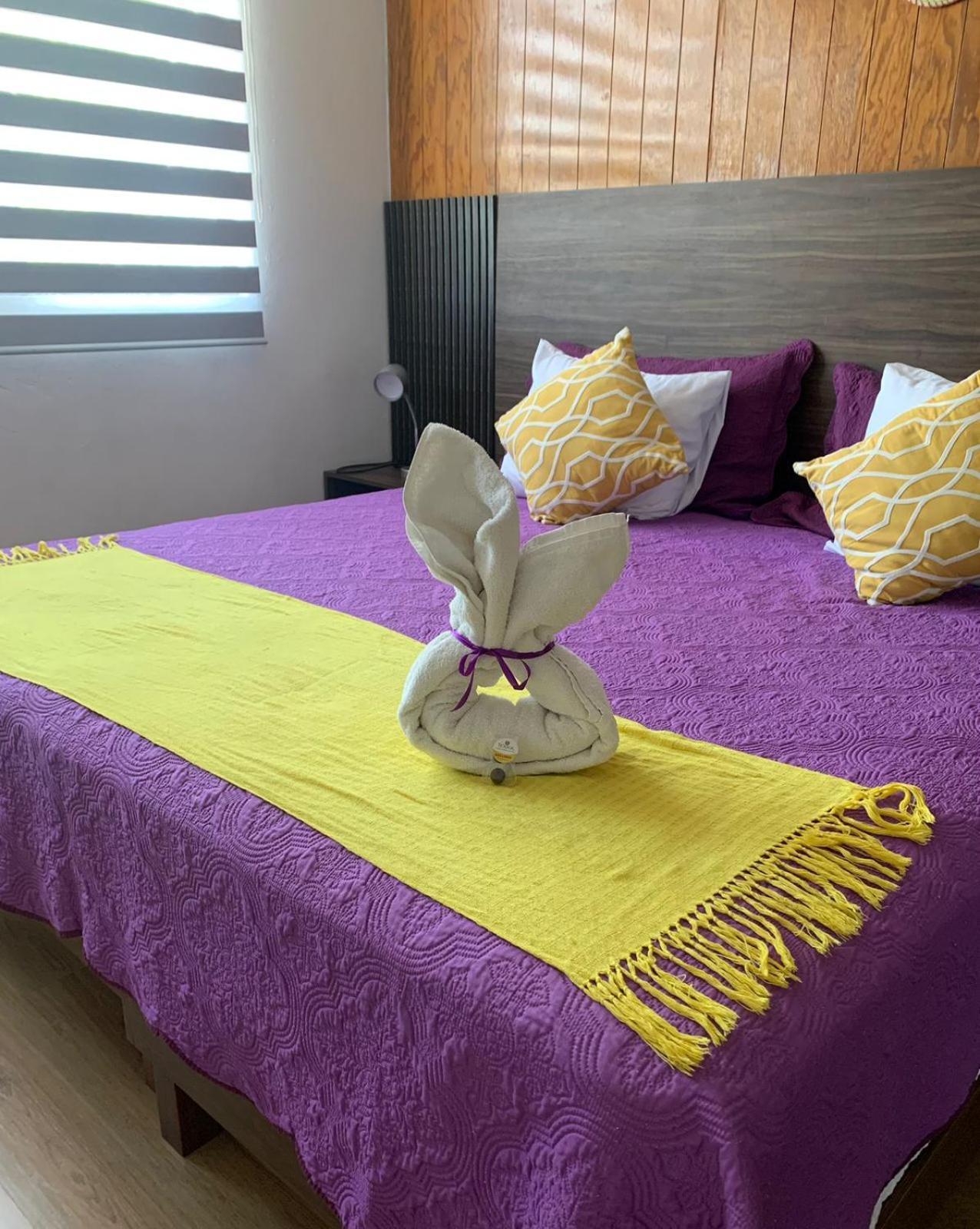 Pino Apartment オアハカ州 エクステリア 写真
