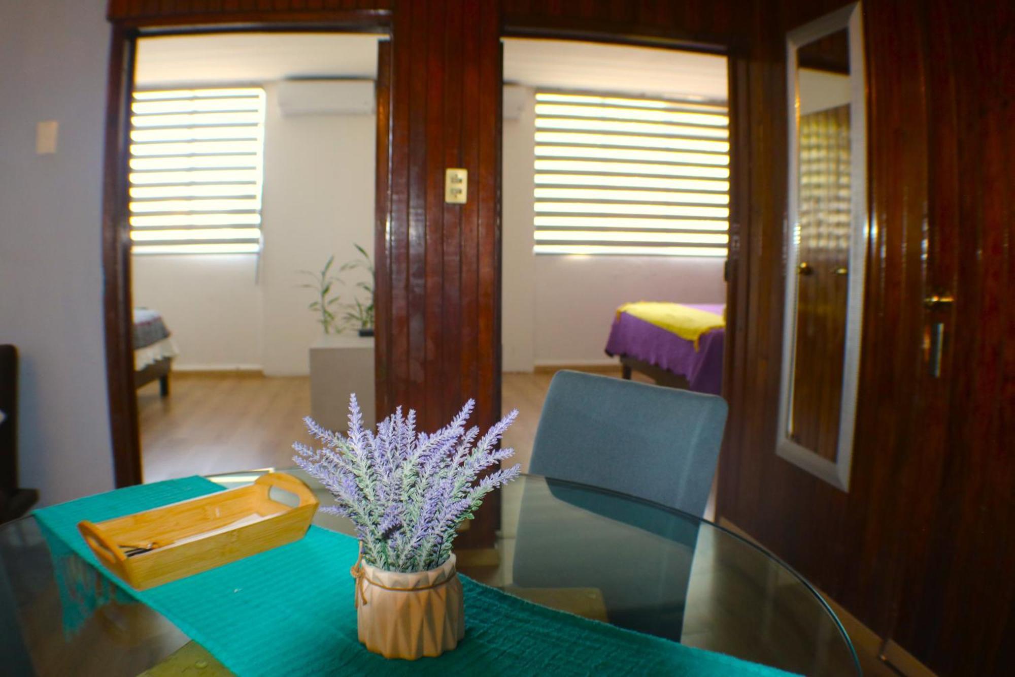 Pino Apartment オアハカ州 エクステリア 写真